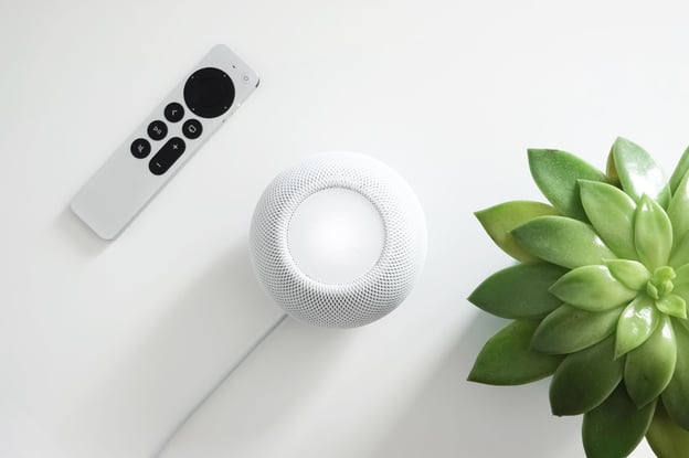 Voice Search Optimization for Beginners: The Ultimate Guide